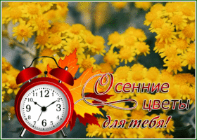 Postcard открытка с осенними цветами для тебя