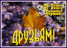 Picture открытка с осенью друзьям от всего сердца