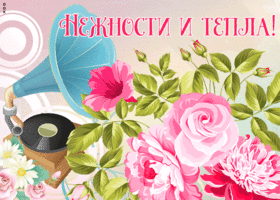 Открытка открытка с пионами с пожеланиями