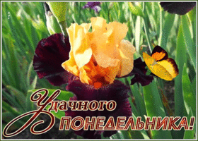 Открытка открытка с понедельником удачного дня