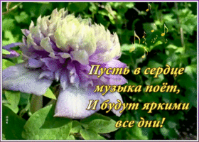 Открытка открытка с пожеланием для настроения