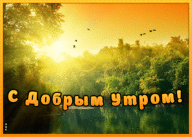 Картинка открытка с пожеланием доброго утра