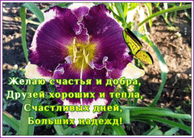 Открытка открытка с пожеланием тепла