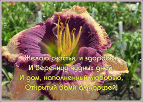 Открытка открытка с пожеланиями другу