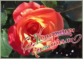 Картинка открытка с пожеланиями родственникам