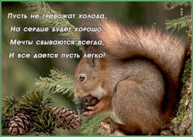 Картинка открытка с пожеланиями с белочкой