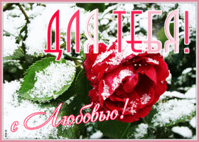 Открытка открытка с пожеланиями с розами