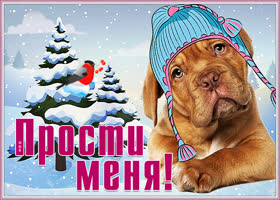 Картинка открытка с просьбой простить
