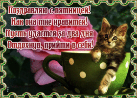 Картинка открытка с пятницей с котиком