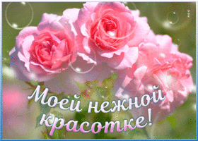 Открытка открытка с розами девушке