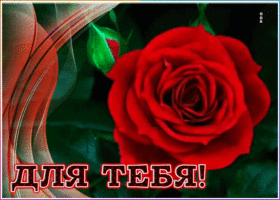 Открытка открытка с розой для тебя