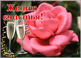 Картинка открытка с розой и пожеланием счастья