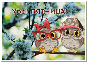Picture открытка с совушками,  ура, пятница