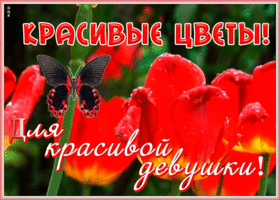 Открытка открытка с цветами для девушки