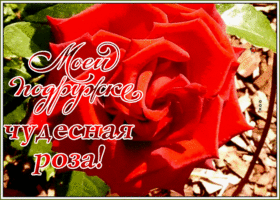 Открытка открытка с цветами для подруги