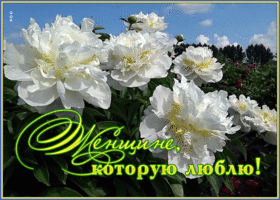 Открытка открытка с цветами любимой