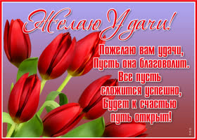 Открытка открытка с цветами стихи