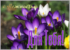 Картинка открытка с цветами женщине