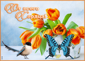 Открытка открытка с тюльпанами для тебя