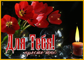 Picture открытка с тюльпанами для тебя, просто так