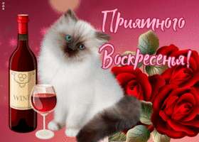 Открытка открытка с воскресеньем с котиком