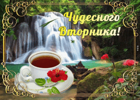 Открытка открытка с вторником для друзей