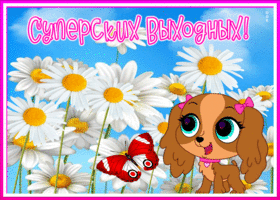 Открытка открытка с выходными, не скучай