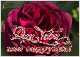 Открытка открытка самой драгоценной подруге