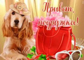 Картинка открытка самой милой подруге