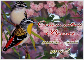 Postcard открытка счастливой весны тебе мой друг