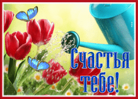 Picture открытка счастья тебе с живыми тюльпанами