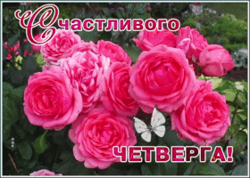 Открытка открытка счастливого четверга