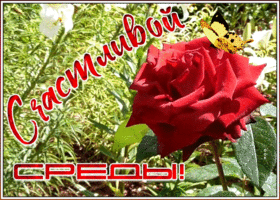 Открытка открытка счастливой среды