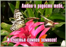 Открытка открытка счастья тебе