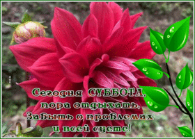 Postcard открытка сегодня суббота, пора отдыхать