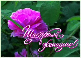 Картинка открытка шикарной женщине