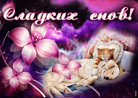 Картинка открытка сказочных снов