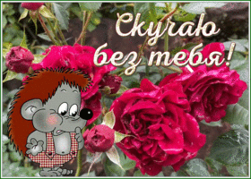 Picture открытка скучаю без тебя с розочками и ежиком
