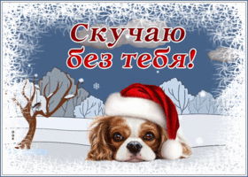 Postcard открытка скучаю без тебя с трогательной собачкой