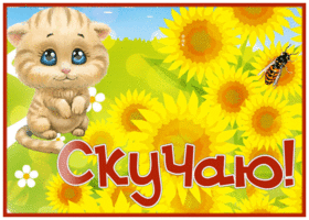 Postcard открытка скучаю с котиком и подсолнухами