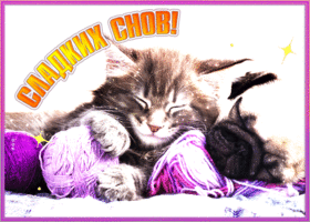 Picture открытка сладких снов с милыми животными
