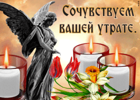Картинка открытка сочувствуем