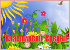 Картинка открытка солнечной среды