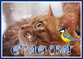 Picture открытка спасибо с милой кошечкой и снегом