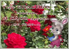 Открытка открытка спасибо тебе огромное