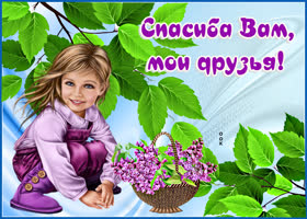 Картинка открытка спасибо за дружбу