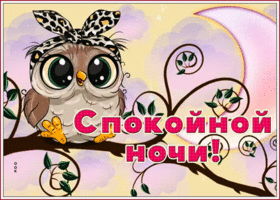 Открытка открытка спокойной ночи полуночники