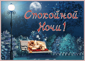 Открытка открытка спокойной ночи с кошкой