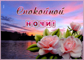 Картинка открытка спокойной ночи с розами