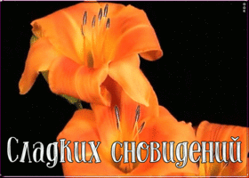 Открытка открытка спокойной ночи сладких снов